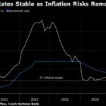 Understanding Option Pricing and Risk for Czech Markets